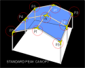 Medium Gable Peak Canopy