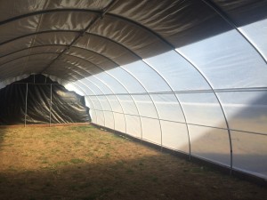 BOLD on Greenhouse
